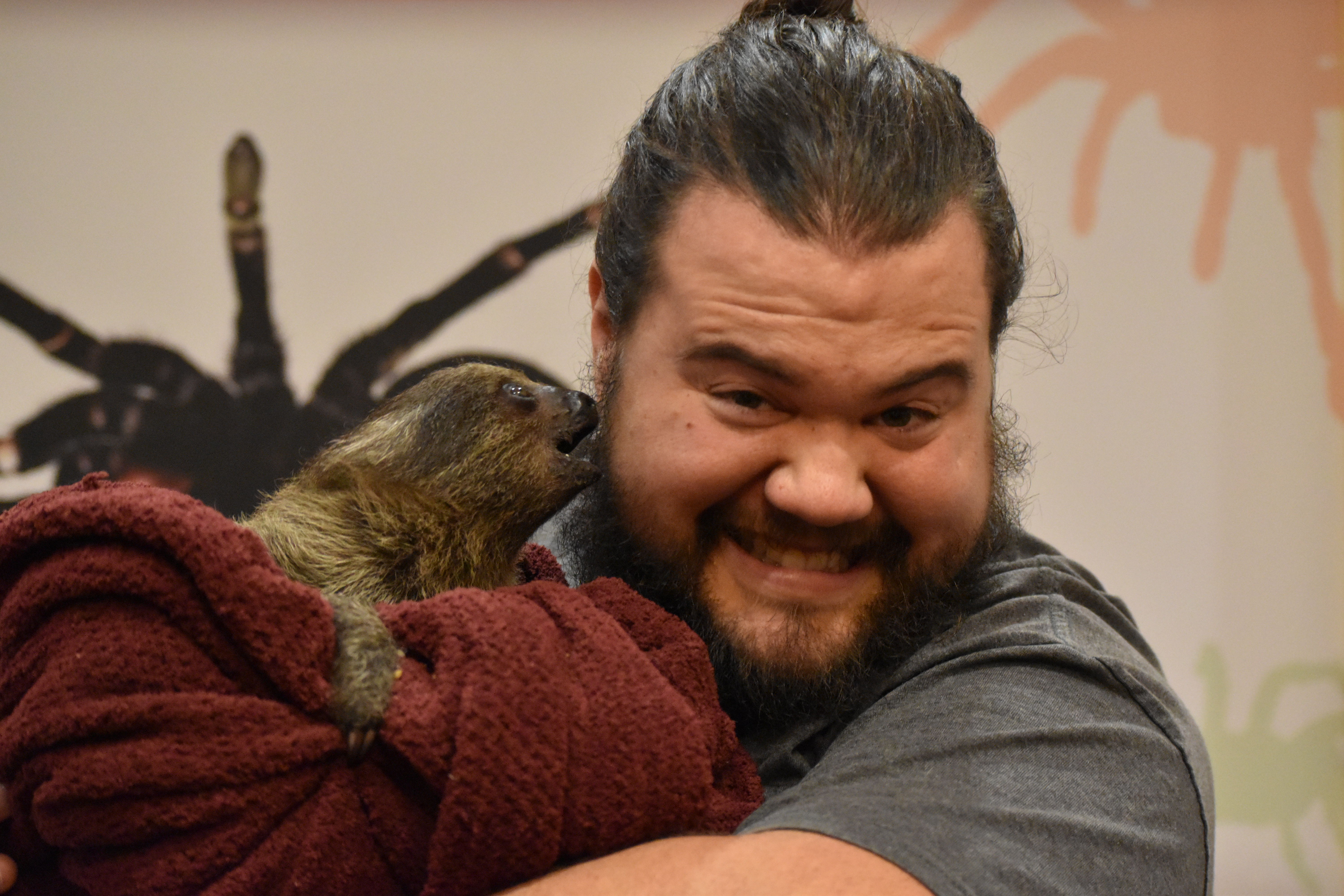Meeting A Sloth For The First Time