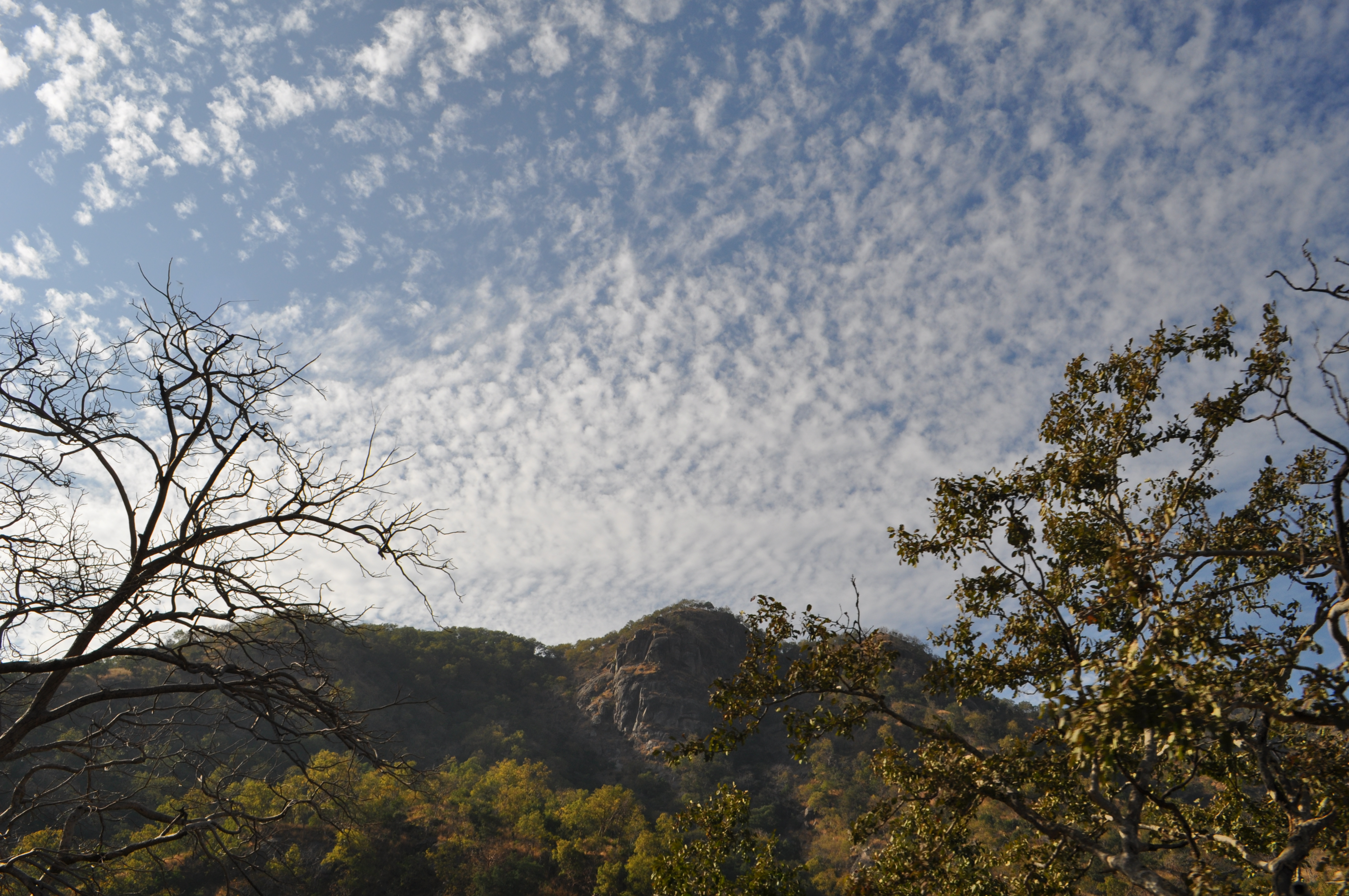 Indian Mountain View