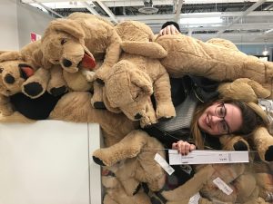 Ikea Fun