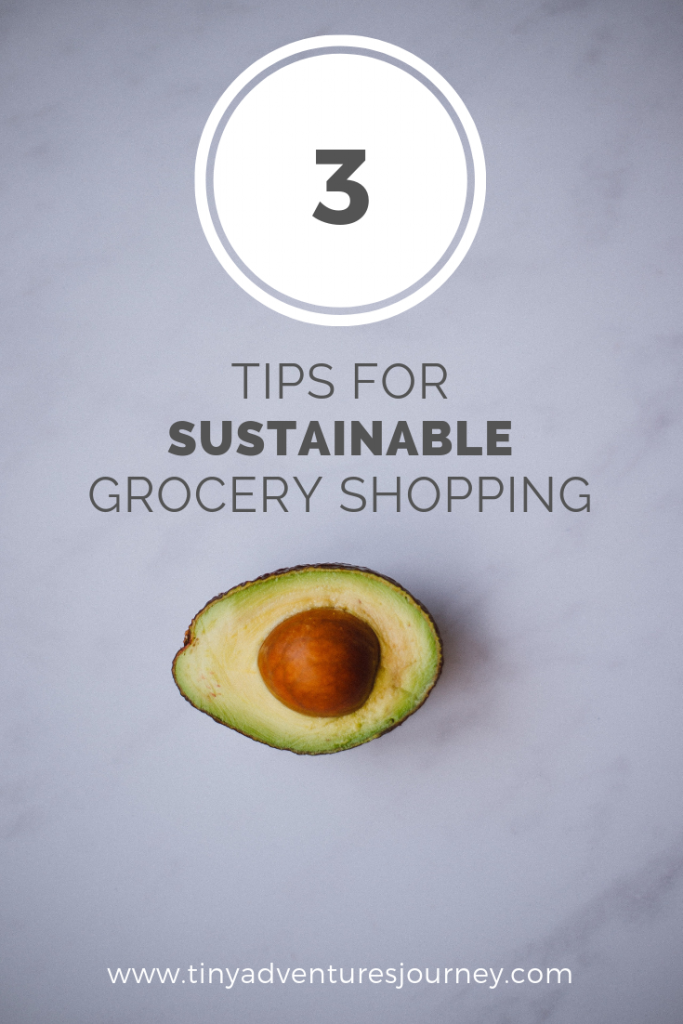 Sustainable Grocery Shopping