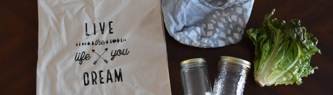 Sustainability For The Home