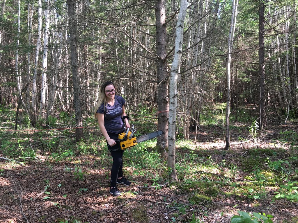 Cutting Tree Driveway