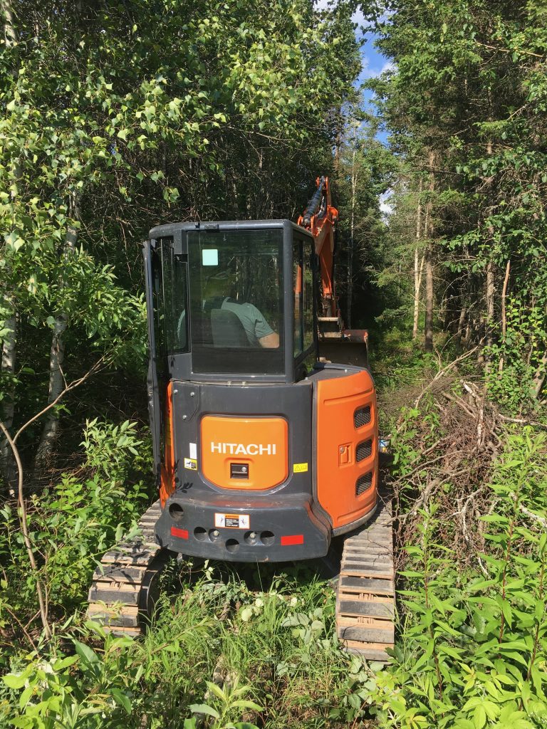 Renting An Excavator For Driveway