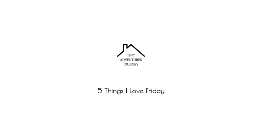 5 Things I Love Friday Winter Theme Tiny Adventures